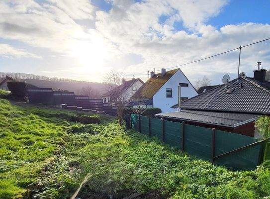 Z_Garten Grenzfoto.jpg