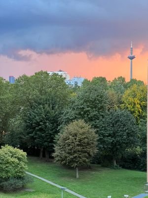 Blick Skyline Frankfurt