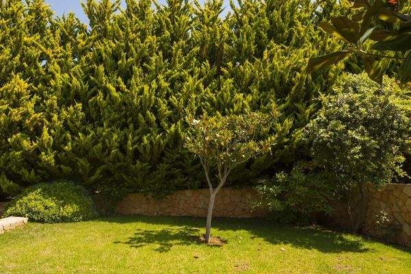 Kreta, Kampani: Zwei Luxusvillen auf Kreta in Meeresnähe