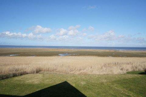 Sylt Wohnungen, Sylt Wohnung kaufen