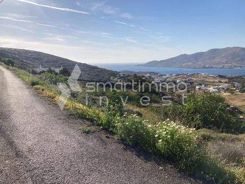 Posidonia, Syros Bauernhöfe, Landwirtschaft, Posidonia, Syros Forstwirtschaft