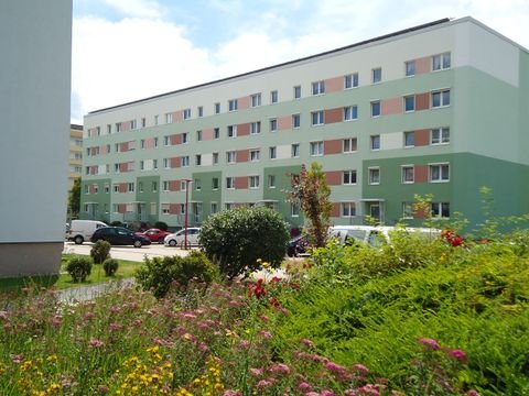 Calbe (Saale) Wohnungen, Calbe (Saale) Wohnung mieten
