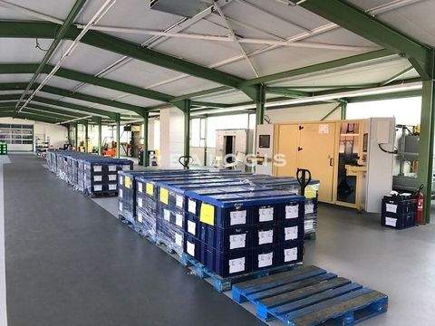 München Halle, München Hallenfläche