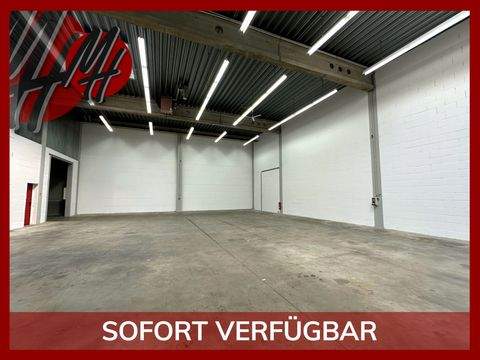 Hanau Halle, Hanau Hallenfläche