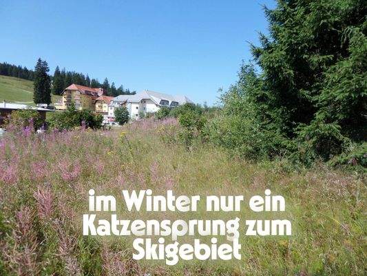 Impressionen vom Grundstück