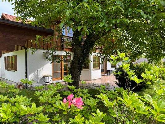 Herrlich eingewachsen