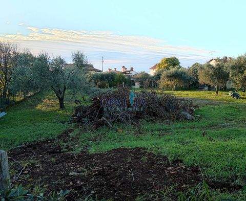 Buje Grundstücke, Buje Grundstück kaufen