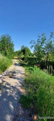 Bild 21