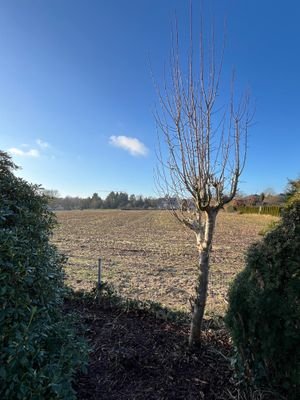 Ausblick