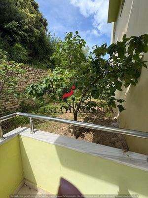 WhatsApp Image 2025-05-11 at 10.24.30-10.jpeg