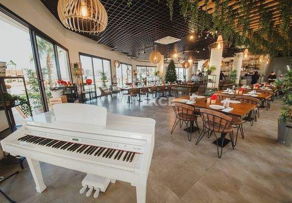 Apartments within a Complex in North Cyprus İskele