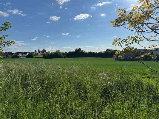 Aussicht vom Grundstück