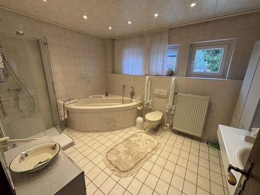 großes Bad mit Wanne und Dusche