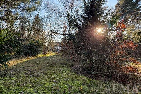 Blick vom Grundstück