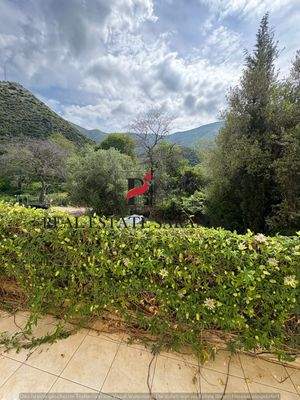 WhatsApp Image 2025-05-11 at 10.27.33-4.jpeg