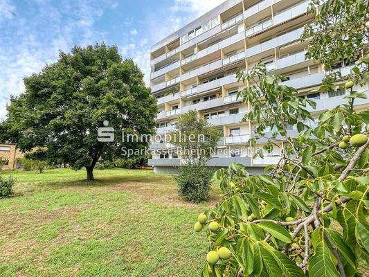 Rückansicht Gebäude