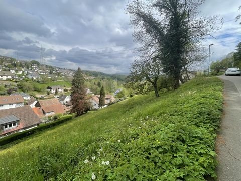 Lörrach Grundstücke, Lörrach Grundstück kaufen