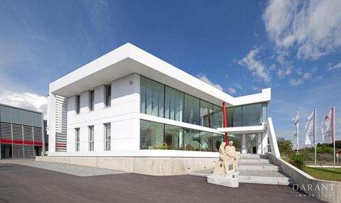 Offenberg Halle, Offenberg Hallenfläche