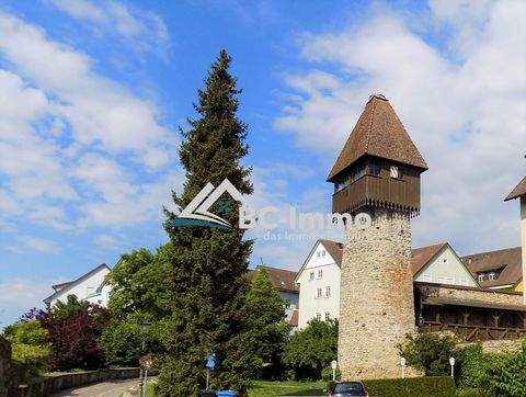 Waldshut-Tiengen Wohnungen, Waldshut-Tiengen Wohnung mieten
