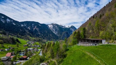 Dalaas Bauernhöfe, Landwirtschaft, Dalaas Forstwirtschaft