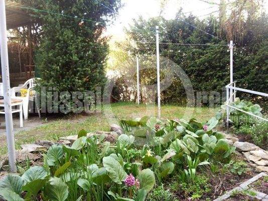 Gemeinschaftsgarten mit Sitzmöglichkeiten und Wäscheplatz