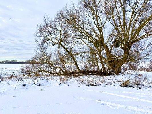 Sicht über das Feld