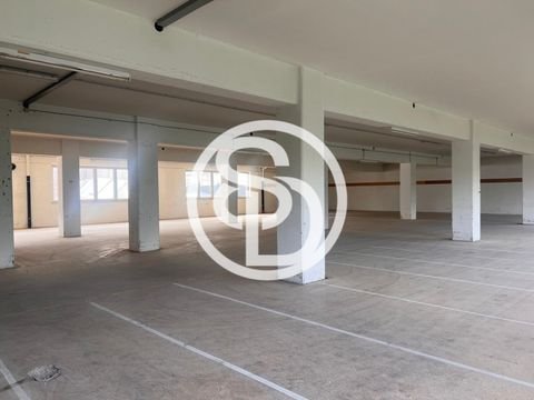 Schwarzenbach Halle, Schwarzenbach Hallenfläche