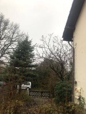 Auffahrt Hausnummer 46