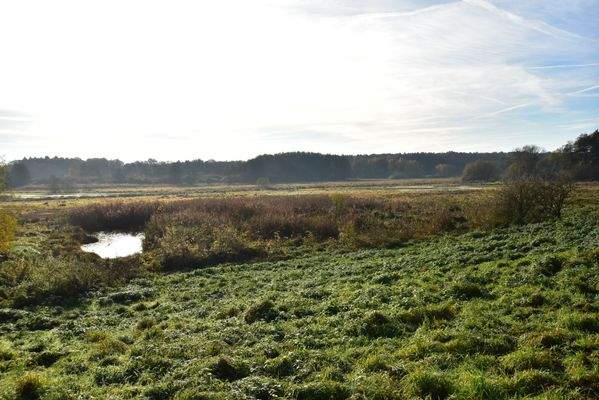 Morgensonne über dem Billetal.jpg