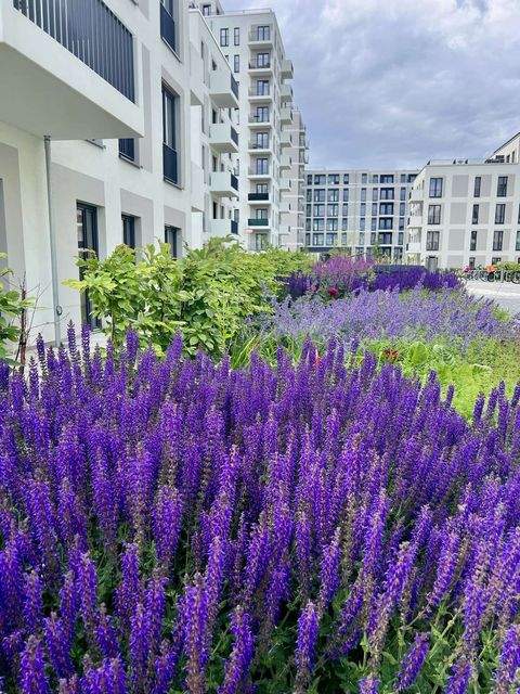 Berlin Wohnungen, Berlin Wohnung mieten
