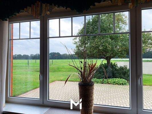 Ausblick vom kleinen Saal auf die Koppel