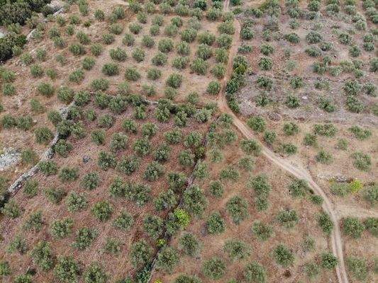 Kreta, Agios Vasilis: Erstklassiges Baugrundstück zum Verkauf mit Meer- und Bergblick