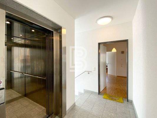 Aufzug/Wohnungseingang