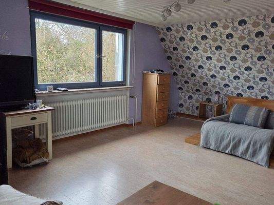 Wohn-/Schlafbereich DG