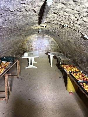 Gewölbekeller unter der Scheune