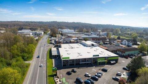 Langenselbold Halle, Langenselbold Hallenfläche