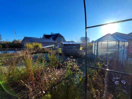 48) Blick z.Gewächshaus u.i.d.Garten II.jpg