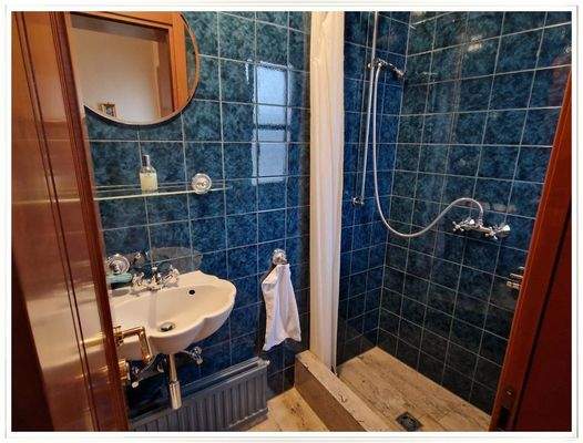 Gäste-WC mit Dusche