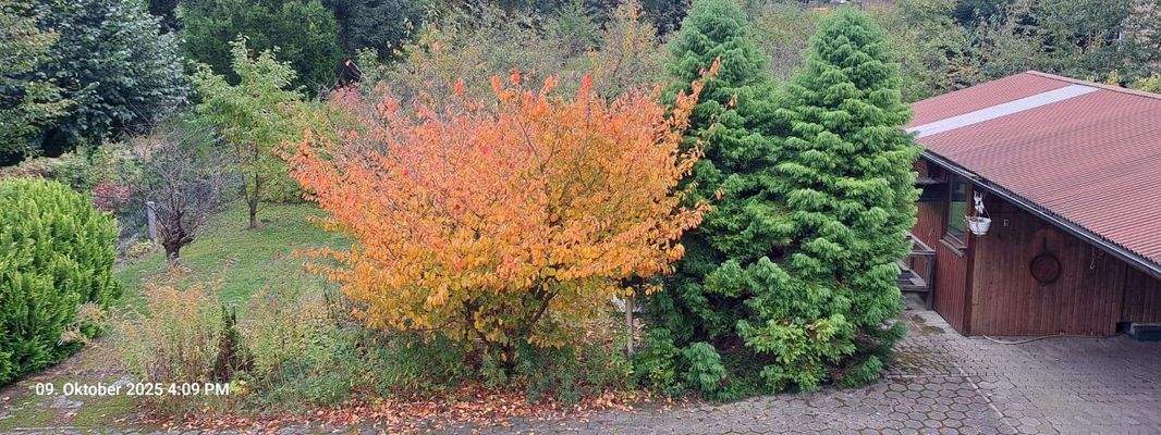 Blick aus Dachgeschossfenster 