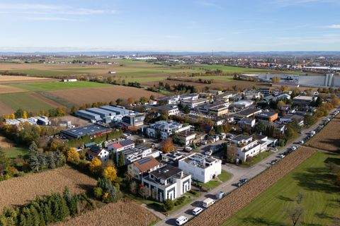 Stuttgart Halle, Stuttgart Hallenfläche
