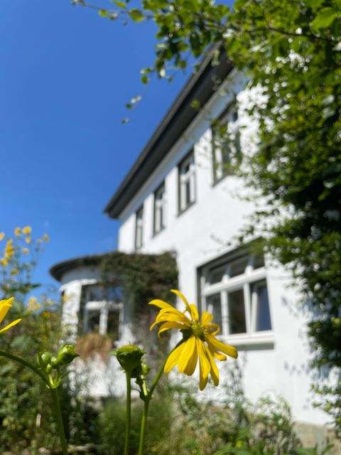 Soest Häuser, Soest Haus kaufen