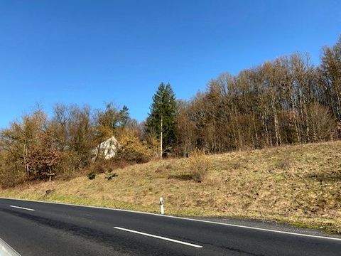 Bad Brückenau Häuser, Bad Brückenau Haus kaufen