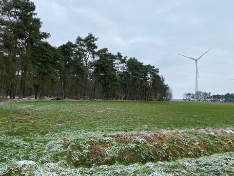 Barnstorf / Düste Bauernhöfe, Landwirtschaft, Barnstorf / Düste Forstwirtschaft