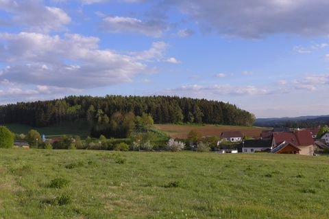 Auerbach in der Oberpfalz Grundstücke, Auerbach in der Oberpfalz Grundstück kaufen