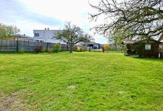 PHOTO-2025-04-14-17-34-59 3.jpg