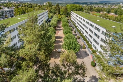 Wiesbaden Wohnungen, Wiesbaden Wohnung mieten