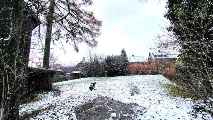 Der Garten hinter dem Garagengebäude.jpg