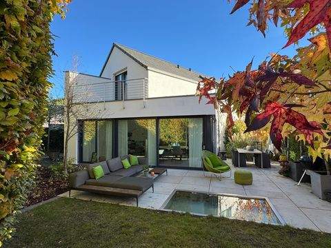 Münster Häuser, Münster Haus kaufen