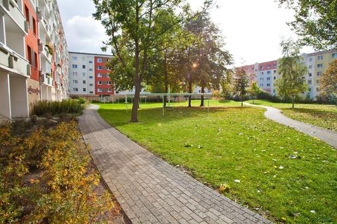 Greifswald Wohnungen, Greifswald Wohnung mieten