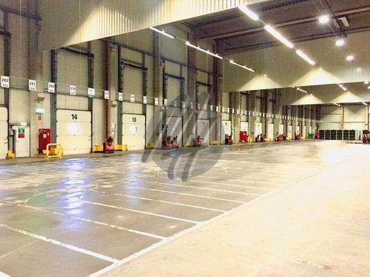 INFOS UNTER: 06171-586000